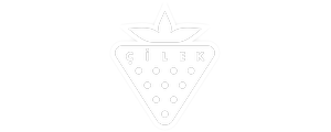 Çilek